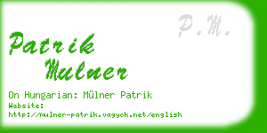 patrik mulner business card